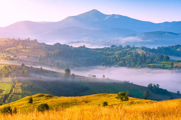 幻想的な朝の山の風景 カラフルな空を覆った カルパティア 無料ウクライナ ヨーロッパ 美の世界 — ストック写真