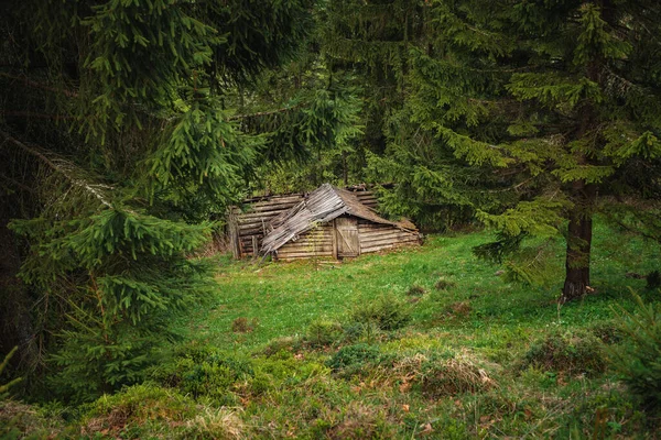 深いCarpathian森の中の放棄された木造の家 — ストック写真