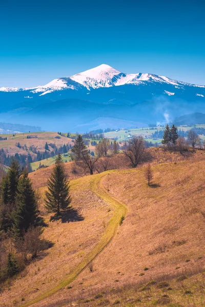 Early Spring Carpathian Valley Hoverla Mountain Covered Snow — Stock Photo, Image