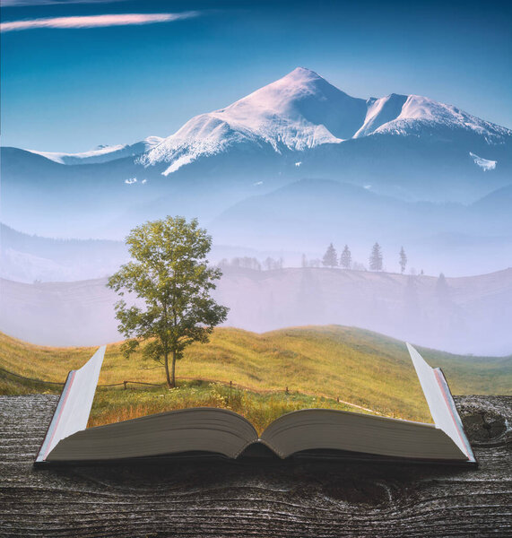 Lonely tree on a foggy grassy hill with distant snowy mountains on the pages of an open book.