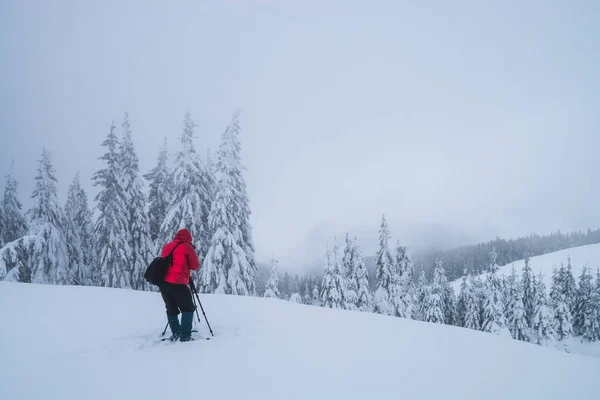 Photographer Camera Tripod Take Picture Snowy Winter Landscape — Stock fotografie