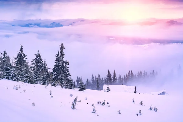 Alpine Village Covered Snow Bright Winter Morning Ukraine Europe New Stockfoto