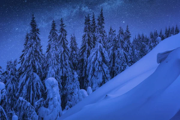 Fairytale carpathian frozen highlands covered with snow. Night starry sky with milky way. Winter time. Ukraine, Europe.
