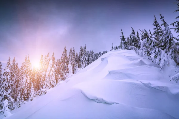 Зимний Природный Ландшафт Удивительный Вид Горы Сценическое Изображение Леса Место Стоковая Картинка