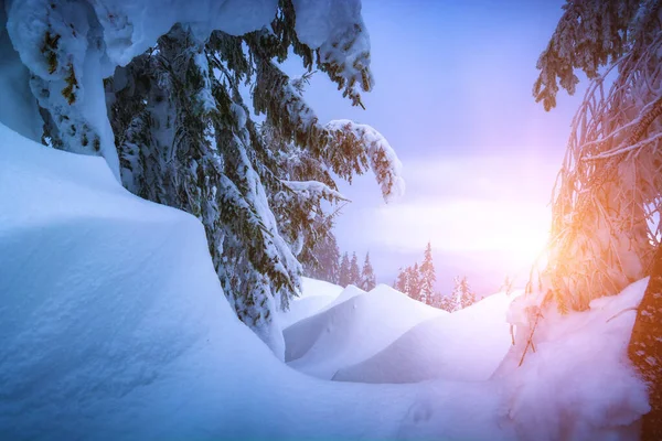 Majestic Sunrise Carpathian Mountain Valley Covered Fresh Snow Wonderful Morning Stockfoto