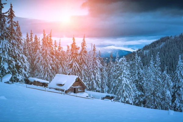 Fairytale Alpine Ukrainian Village Forest Frozen Winter Morning Carpathian Mountains Stockbild