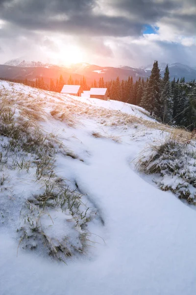 Alpine Ukrainian Village Snowy Hill Frozen Winter Morning Carpathian Mountains Stockafbeelding