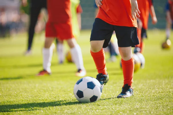 Boys attending soccer training on school field. Young man coaching children on physical education class. Soccer practice for children