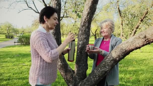 Deux femmes dans le parc versent une boisson chaude d'un thermos. — Video