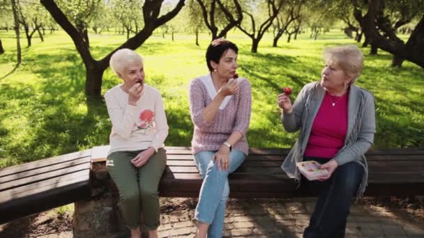 다 자란 여자들 이 공원 벤치에 앉아 딸기를 먹고 있다. — 비디오