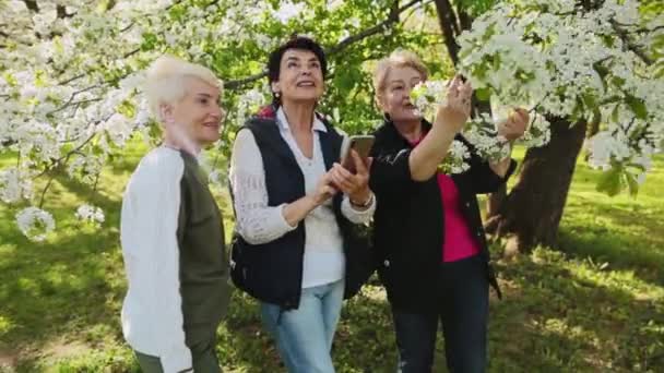 Tre vuxna kvinnor kommunicerar i parken och skrattar. — Stockvideo