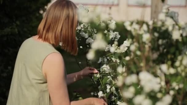 Glimlachende vrouw snijden jasmijn bloemen in de tuin — Stockvideo
