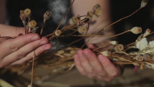 Torr brun vallmo i handen. torkade blommor för dekoration på en grå betong — Stockvideo