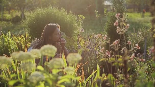 Жінка пахне квітка ісопу на задньому дворі — стокове відео