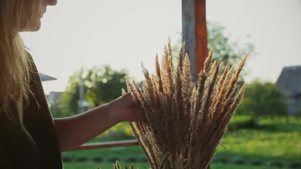 Mladá žena dotýká suché trávy v květináči — Stock video