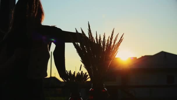 Mujer joven tocando hierba seca en maceta — Vídeos de Stock