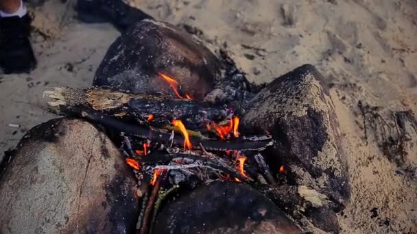 Petit feu brûlant entouré de cailloux — Video