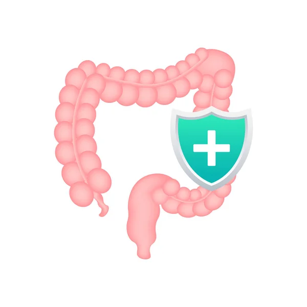 Protección intestinal, Intestino sano protegido. Protección del sistema digestivo. Ilustración de stock vectorial. — Vector de stock