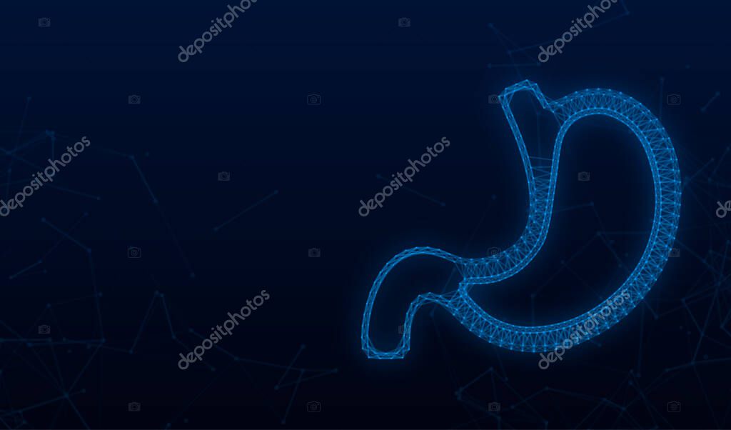 Stomach endoscopy. Endoscope in stomach through esophagus. Vector illustration