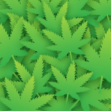 Yaratıcı kenevir yaprağı deseni. CBD Cannabidiol şablonu. Vektör illüstrasyonu