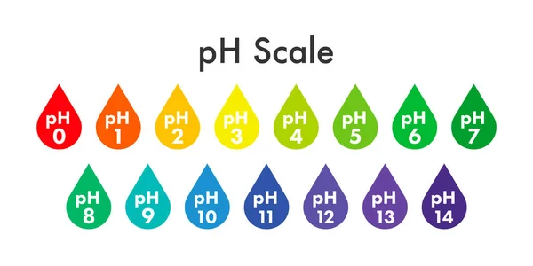 Medidor de escala de pH. Análisis de pH prueba de valor de escala química. Ilustración de stock vectorial. — Vector de stock