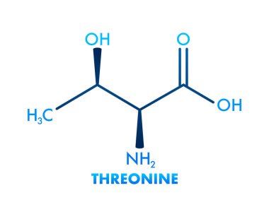 Threonine bir amino asittir. Beyaz arkaplanda düz vektör illüstrasyonu.