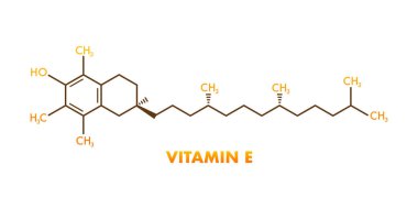 Molekül tocopherol. Tıbbi tasarım için E vitamini simgesi