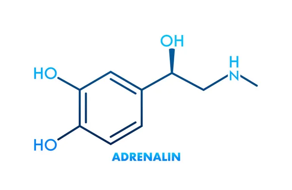Adrenalina Adrenalina Molécula Neurotransmisor Epinefrina Fórmula Esquelética Ilustración Vectorial — Vector de stock