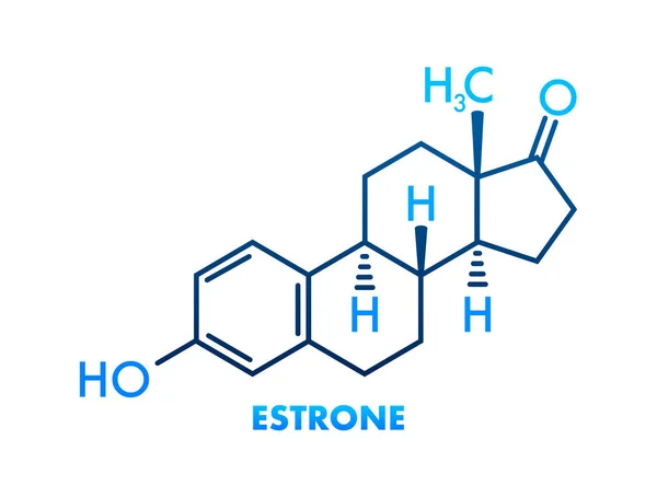 Φόρμουλα Οιστρόνης Οιστρογόνα Διανυσματικοί Χημικοί Τύποι — Διανυσματικό Αρχείο