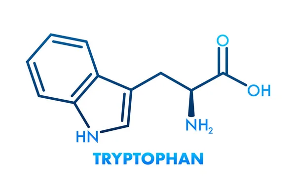 Fórmula Triptófano Triptófano Triptófano Trp Molécula Aminoácidos — Vector de stock