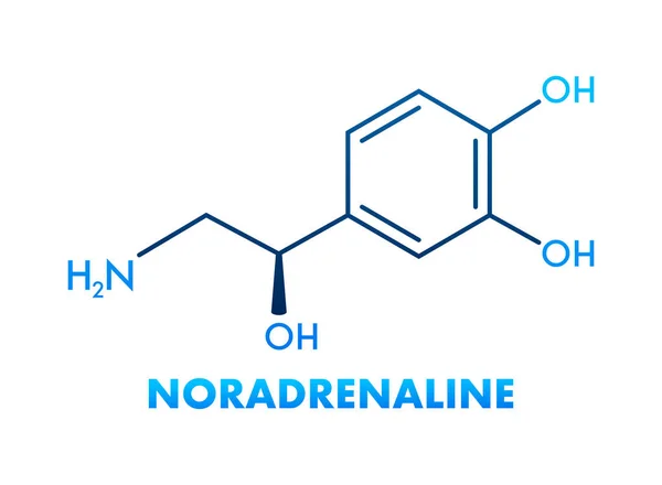 Noradrenalina Concepto Químico Fórmula Icono Etiqueta Texto Fuente Vector Ilustración — Vector de stock