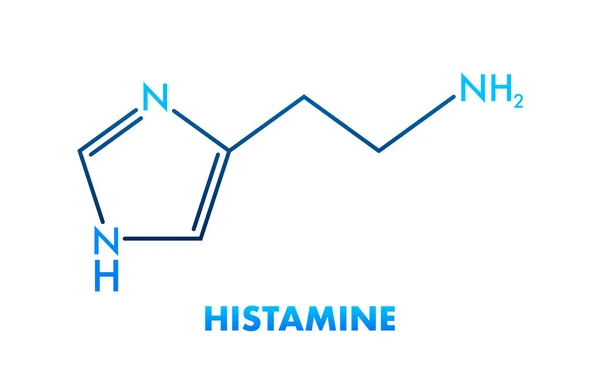ヒサミンの概念化学式アイコンラベル テキストフォントベクトルイラスト — ストックベクタ
