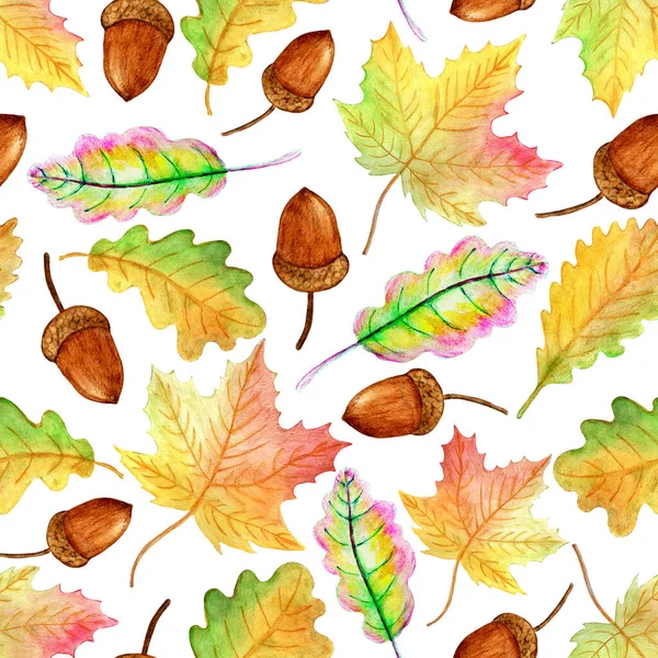 Ручной Окрас Осенние Листья Белом Фоне Бесшовный Рисунок — стоковое фото