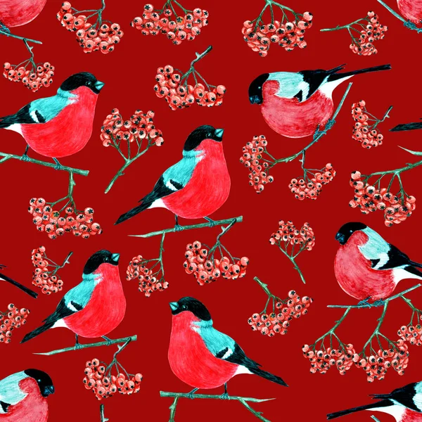 Padrão Natal Aquarela Bullfinches Cinza Montanha Fundo Vermelho Padrão Sem — Fotografia de Stock