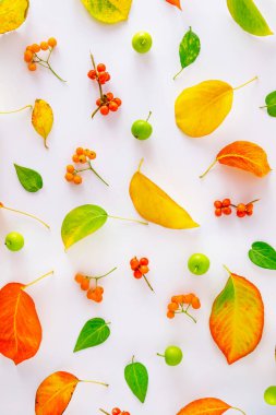 Sonbahar renkli yapraklar beyaz bir masanın üzerine dizilmiştir. Düz yatıyordu. Doğal minimum bileşim.