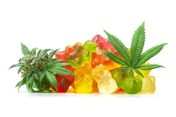 Medical Cannabis Infused Fruit Flavored Cbd Gummy Bears Marijuana Leaf — Stockfoto