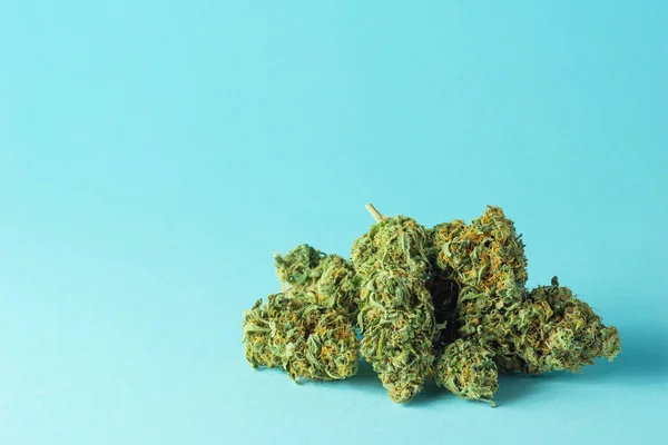 Pile Medical Marijuana Buds Hemp Flowers Cannabis Plant Isolated Minimalist — Stockfoto