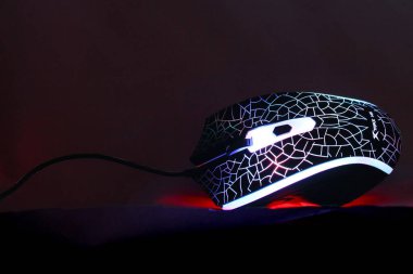 Bilgisayar için parlak fareyi oynuyorum. Oyun için öge