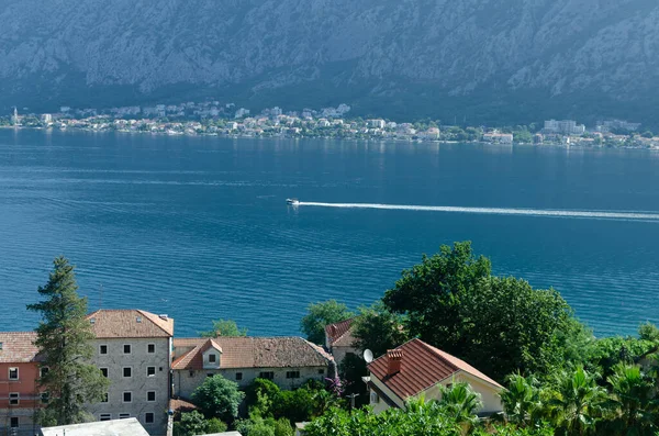 Impressive Aerial View Part Kotor Bay Red Roofs Lush Trees — Stock fotografie
