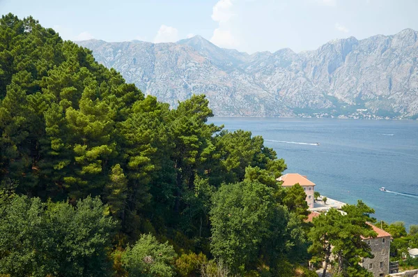 Kotor Körfezi Nin Etkin Hava Manzarası Gür Ağaçlar Kırmızı Çatılar — Stok fotoğraf