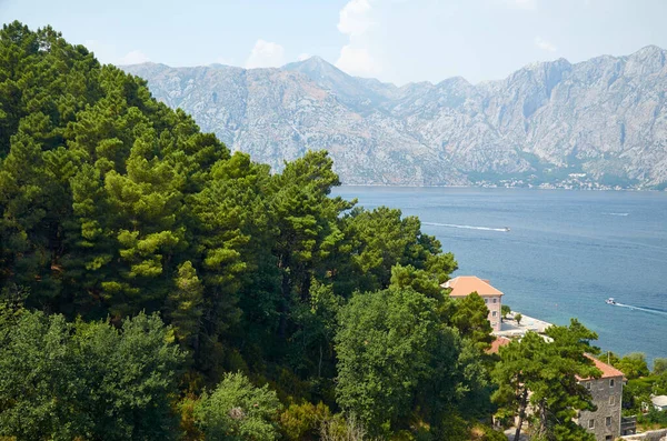 Působivý Letecký Výhled Část Zátoky Kotor Svěží Stromy Červené Střechy — Stock fotografie