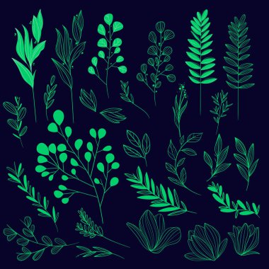 El çizimi düğün süslemeleri vektör tasarımı çizimi