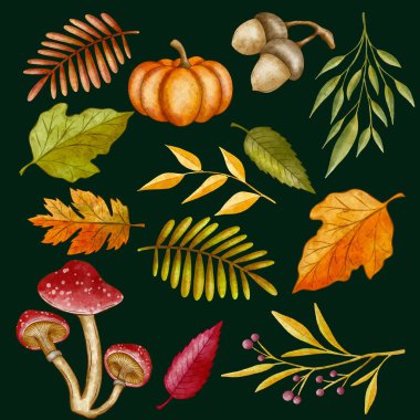 suluboya sonbahar unsurları koleksiyon vektör tasarımı illüstrasyonu