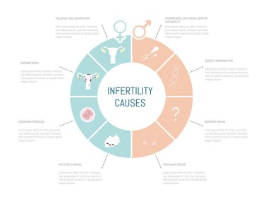 Kadın ve erkeklerde kısırlığın olası nedenleri hakkında bilgi.
