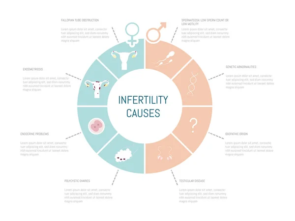 Infographic Possible Causes Infertility Men Women — Vector de stock