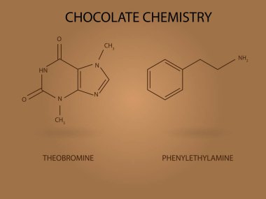 Theobromine and Phenylethylamine, compounds of chocolate, chemical structure.