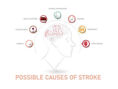 Felcin muhtemel nedenlerini gösteren bilgiler. Beyaz arkaplanda baş ve beyin silueti.