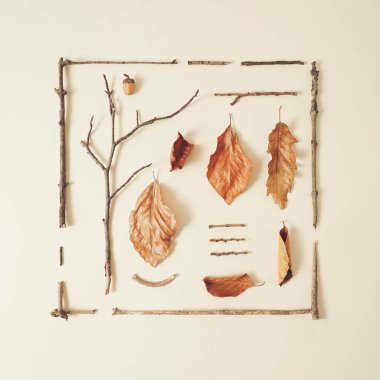 Sonbahar yapraklarının, ağaç dallarının ve kozalakların pastel krem üzerindeki bilgi kare tasarımı. Yaratıcı samimi sonbahar arkaplanı.