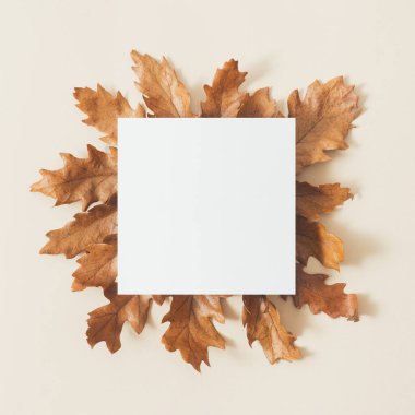 Krem arkaplanda beyaz kağıt ve kuru meşe yapraklarıyla yaratıcı sonbahar kompozisyonu. Rahat sonbahar çerçevesi.