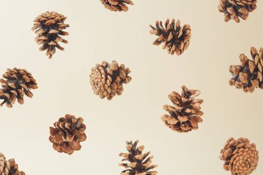 Uçan kozalaklı sonbahar kompozisyonu krem arkaplanı oluşturur. Yaratıcı sonbahar duvar kağıdı.